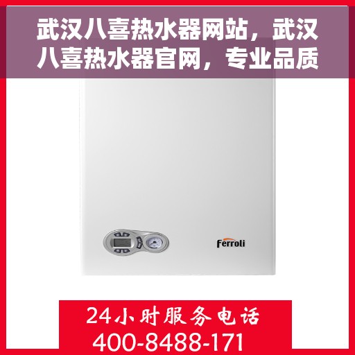 武汉八喜热水器网站，武汉八喜热水器官网，专业品质，智能生活的热水解决方案