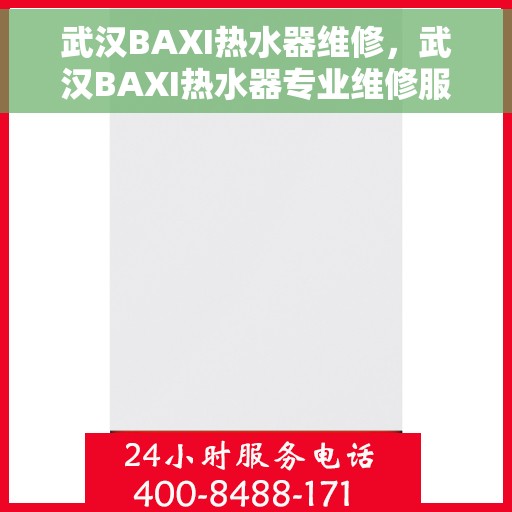 武汉BAXI热水器维修，武汉BAXI热水器专业维修服务