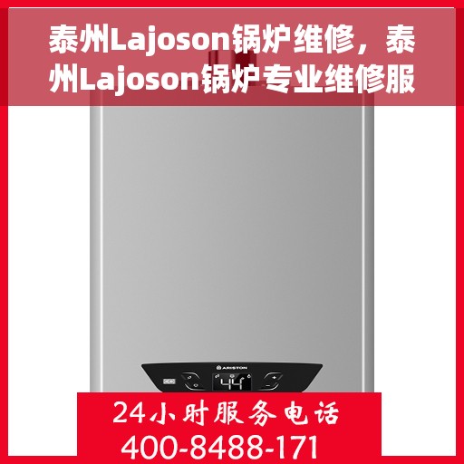泰州Lajoson锅炉维修，泰州Lajoson锅炉专业维修服务