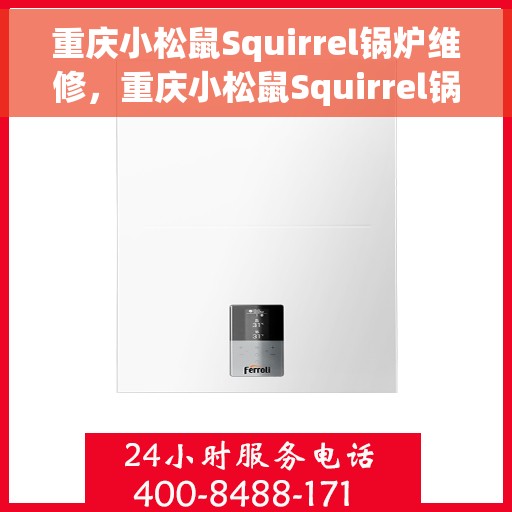 重庆小松鼠Squirrel锅炉维修，重庆小松鼠Squirrel锅炉专业维修服务