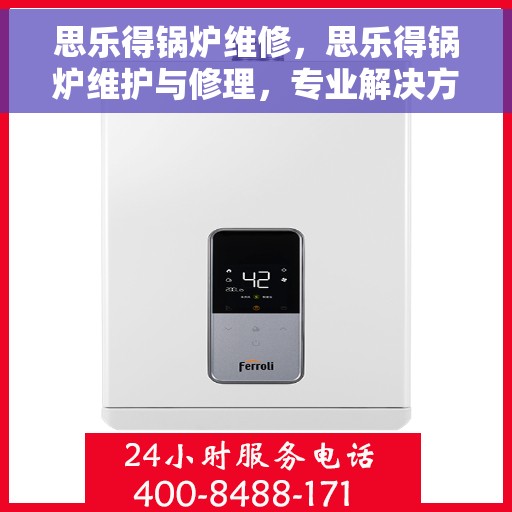 思乐得锅炉维修，思乐得锅炉维护与修理，专业解决方案，确保高效运行