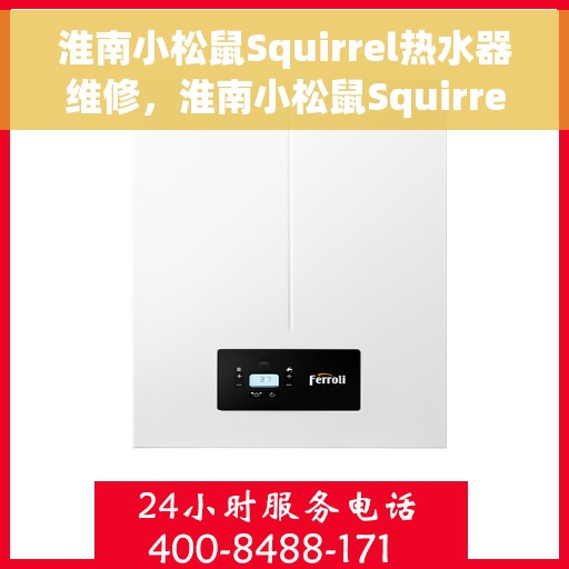 淮南小松鼠Squirrel热水器维修，淮南小松鼠Squirrel热水器维修指南，专业解决故障，快速恢复使用功能