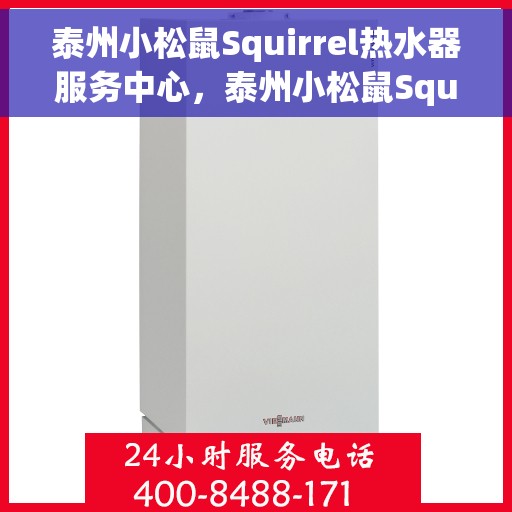 泰州小松鼠Squirrel热水器服务中心，泰州小松鼠Squirrel热水器专业服务中心