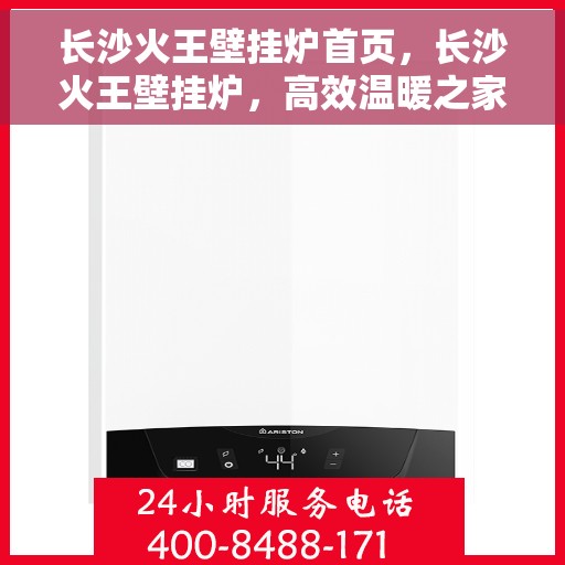 长沙火王壁挂炉首页，长沙火王壁挂炉，高效温暖之家首页介绍