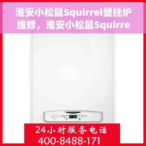 淮安小松鼠Squirrel壁挂炉维修，淮安小松鼠Squirrel壁挂炉专业维修服务