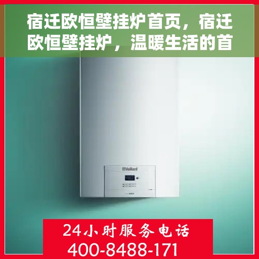 宿迁欧恒壁挂炉首页，宿迁欧恒壁挂炉，温暖生活的首选首页