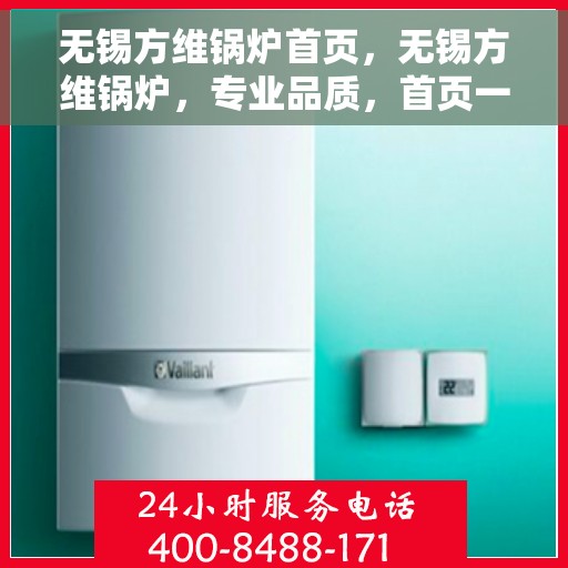 无锡方维锅炉首页，无锡方维锅炉，专业品质，首页一览