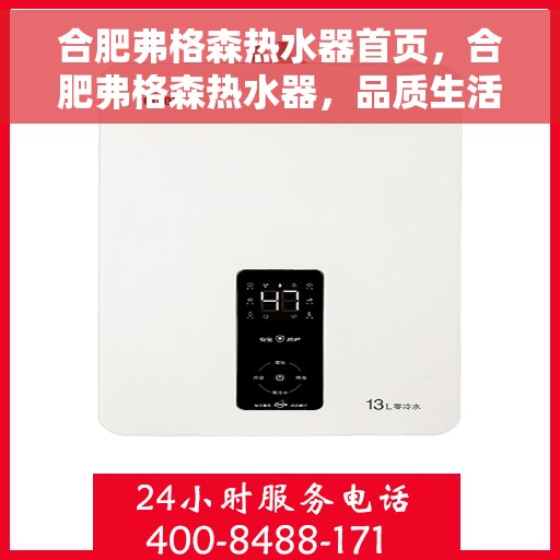 合肥弗格森热水器首页，合肥弗格森热水器，品质生活的首选之门