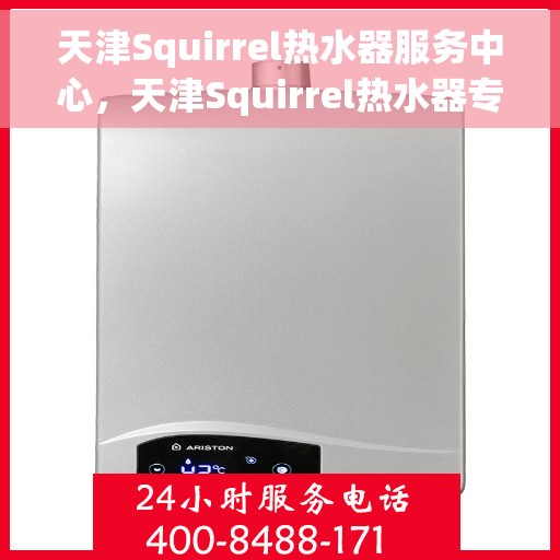 天津Squirrel热水器服务中心，天津Squirrel热水器专业服务中心，高效维修与保养之选