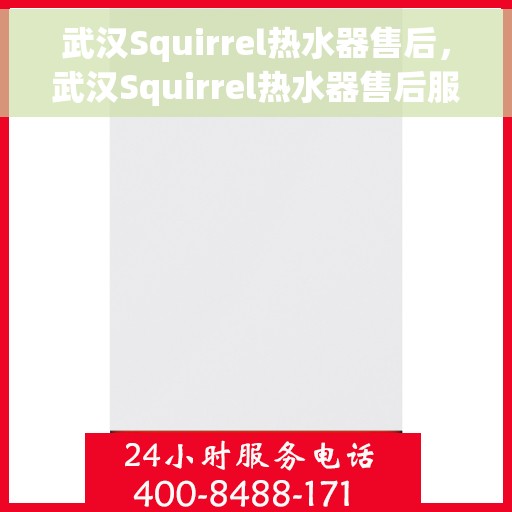 武汉Squirrel热水器售后，武汉Squirrel热水器售后服务解析