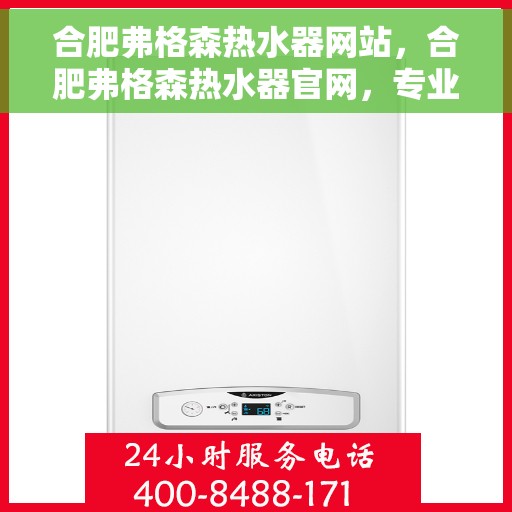 合肥弗格森热水器网站，合肥弗格森热水器官网，专业品质，温暖您的家