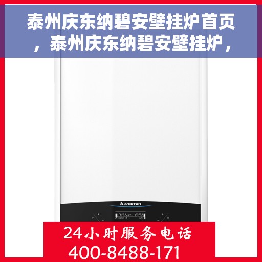 泰州庆东纳碧安壁挂炉首页，泰州庆东纳碧安壁挂炉，高效温暖，品质生活的首选
