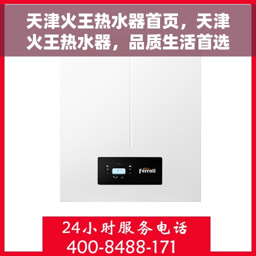 天津火王热水器首页，天津火王热水器，品质生活首选，专业热水解决方案的首页呈现