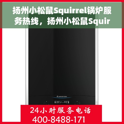 扬州小松鼠Squirrel锅炉服务热线,扬州小松鼠Squirrel锅炉专业维修服务热线 扬州小松鼠Squirrel锅炉服务热线,扬州小松鼠Squirrel锅炉专业维修服务热线
