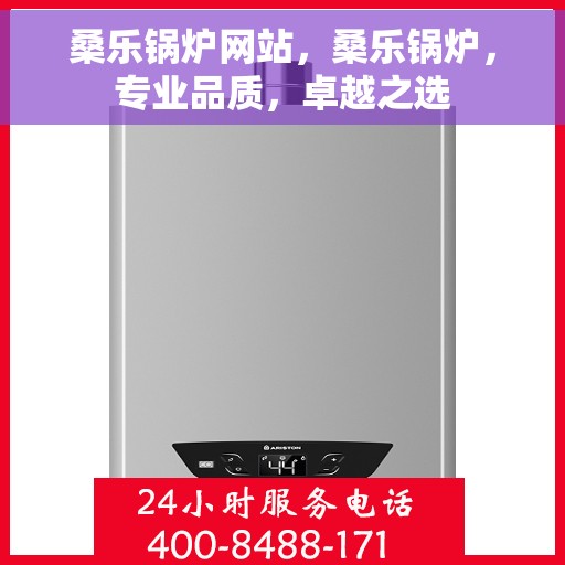 桑乐锅炉网站，桑乐锅炉，专业品质，卓越之选