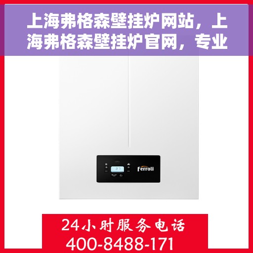 上海弗格森壁挂炉网站，上海弗格森壁挂炉官网，专业品质，智能温暖您的家