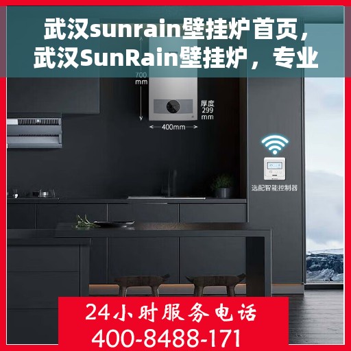 武汉sunrain壁挂炉首页，武汉SunRain壁挂炉，专业品质，温暖首选