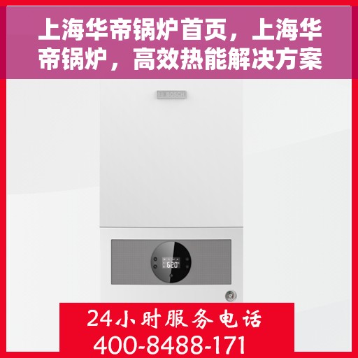上海华帝锅炉首页，上海华帝锅炉，高效热能解决方案的首选之地