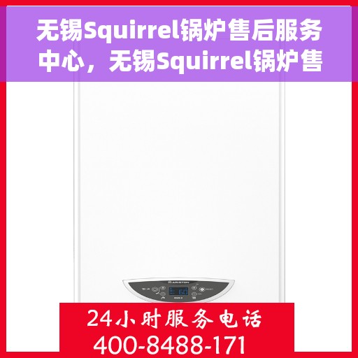 无锡Squirrel锅炉售后服务中心，无锡Squirrel锅炉售后服务中心，专业维修与贴心服务