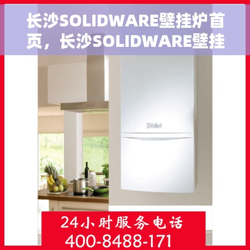 长沙SOLIDWARE壁挂炉首页，长沙SOLIDWARE壁挂炉，高效温暖，品质生活的首选