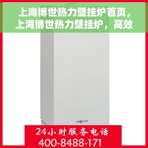 上海博世热力壁挂炉首页，上海博世热力壁挂炉，高效温暖之家首选解决方案