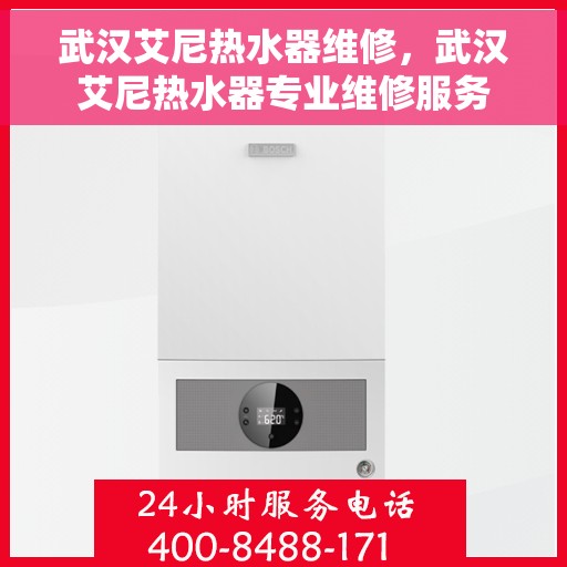 武汉艾尼热水器维修，武汉艾尼热水器专业维修服务