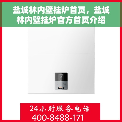 盐城林内壁挂炉首页，盐城林内壁挂炉官方首页介绍