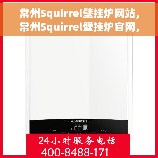常州Squirrel壁挂炉网站，常州Squirrel壁挂炉官网，专业壁挂炉解决方案与优质服务