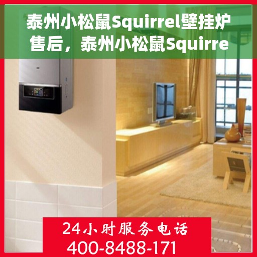 泰州小松鼠Squirrel壁挂炉售后，泰州小松鼠Squirrel壁挂炉售后服务详解