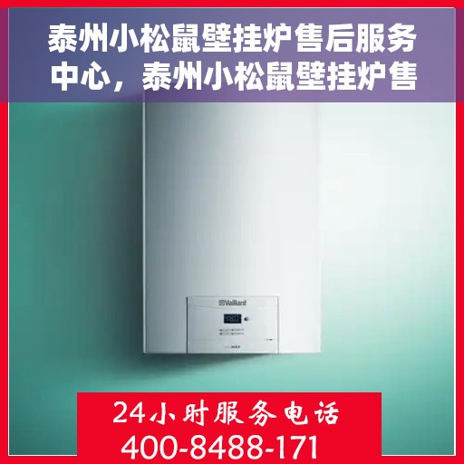 泰州小松鼠壁挂炉售后服务中心，泰州小松鼠壁挂炉售后服务中心，专业维修与贴心服务