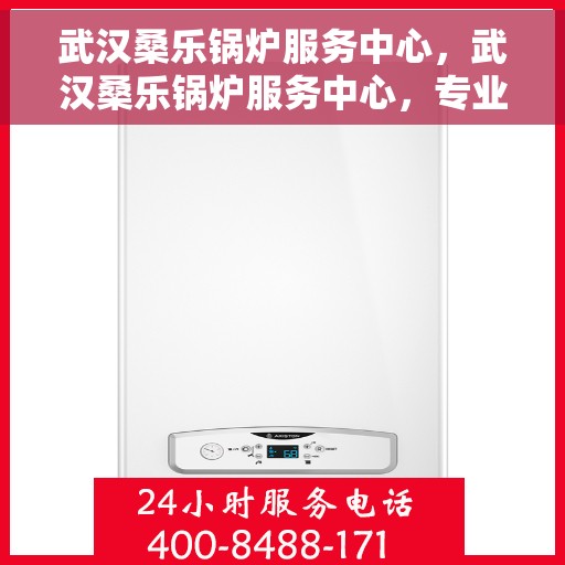 武汉桑乐锅炉服务中心，武汉桑乐锅炉服务中心，专业维护与高效服务之选