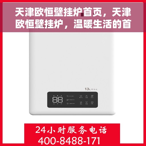 天津欧恒壁挂炉首页，天津欧恒壁挂炉，温暖生活的首选门户首页