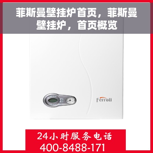 菲斯曼壁挂炉首页，菲斯曼壁挂炉，首页概览