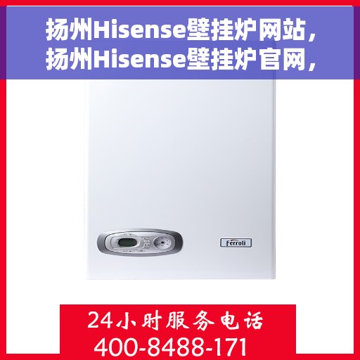 扬州Hisense壁挂炉网站，扬州Hisense壁挂炉官网，专业品质，智能温暖您的生活