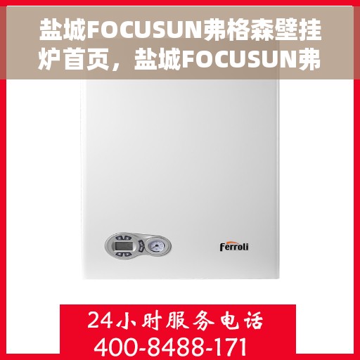 盐城FOCUSUN弗格森壁挂炉首页，盐城FOCUSUN弗格森壁挂炉，高效温暖，品质生活的首选
