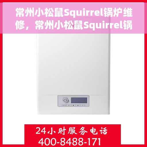 常州小松鼠Squirrel锅炉维修，常州小松鼠Squirrel锅炉维修专家，专业解决您的锅炉故障问题