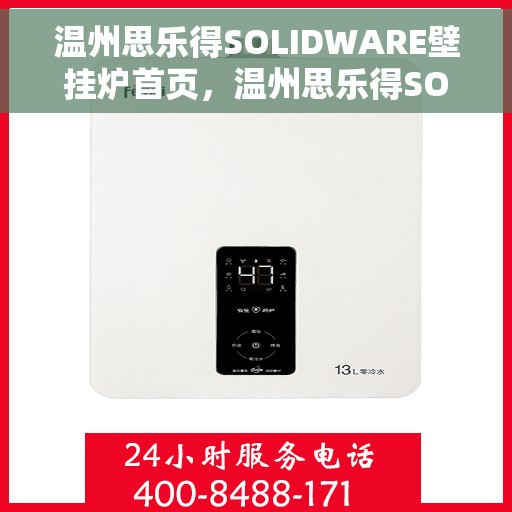 温州思乐得SOLIDWARE壁挂炉首页，温州思乐得SOLIDWARE壁挂炉，高效温暖，品质之选的首页展示