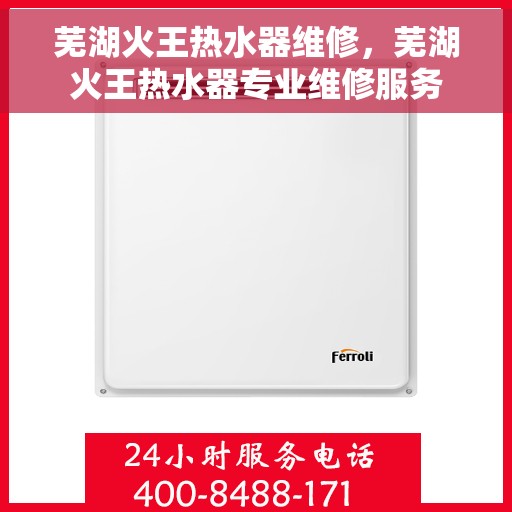 芜湖火王热水器维修，芜湖火王热水器专业维修服务