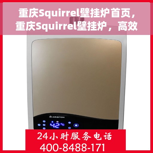 重庆Squirrel壁挂炉首页，重庆Squirrel壁挂炉，高效智能供暖的首选之页