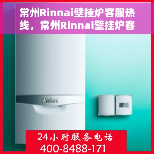 常州Rinnai壁挂炉客服热线，常州Rinnai壁挂炉客服热线，专业解答，温暖您的生活