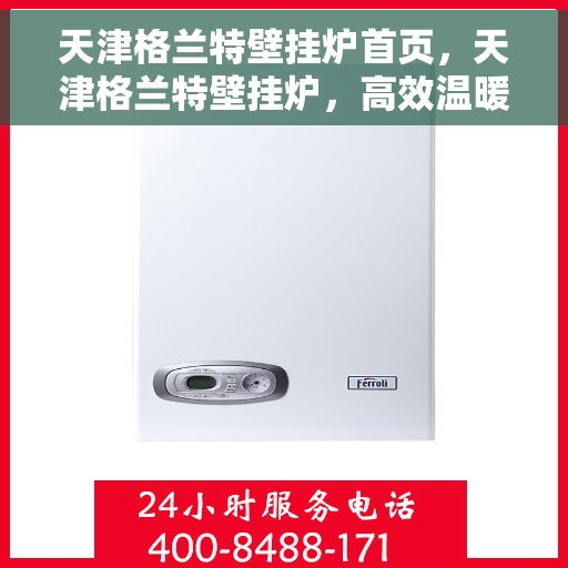 天津格兰特壁挂炉首页，天津格兰特壁挂炉，高效温暖家居的首选