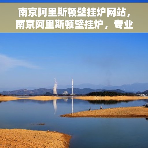 南京阿里斯顿壁挂炉网站，南京阿里斯顿壁挂炉，专业品质，温暖您的家