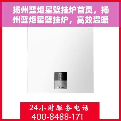 扬州蓝炬星壁挂炉首页，扬州蓝炬星壁挂炉，高效温暖之选，品质生活从此开启