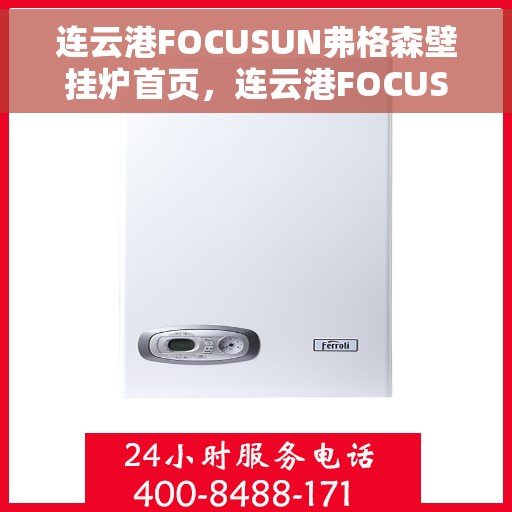 连云港FOCUSUN弗格森壁挂炉首页，连云港FOCUSUN弗格森壁挂炉，专业品质，温暖您的家