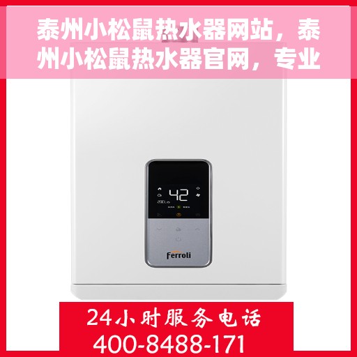 泰州小松鼠热水器网站，泰州小松鼠热水器官网，专业品质，温暖您的家