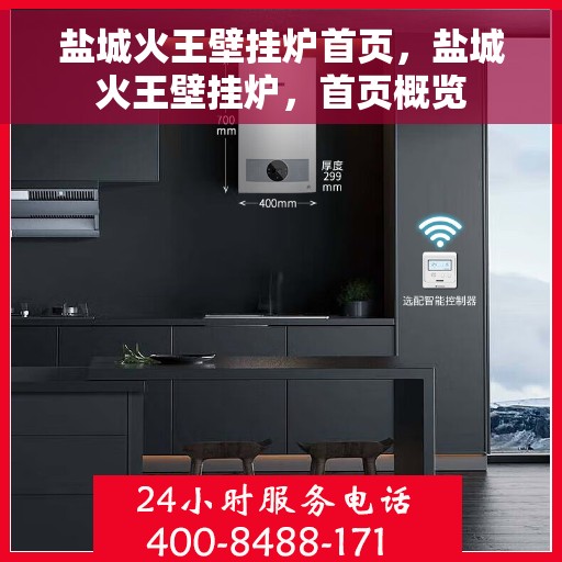 盐城火王壁挂炉首页，盐城火王壁挂炉，首页概览