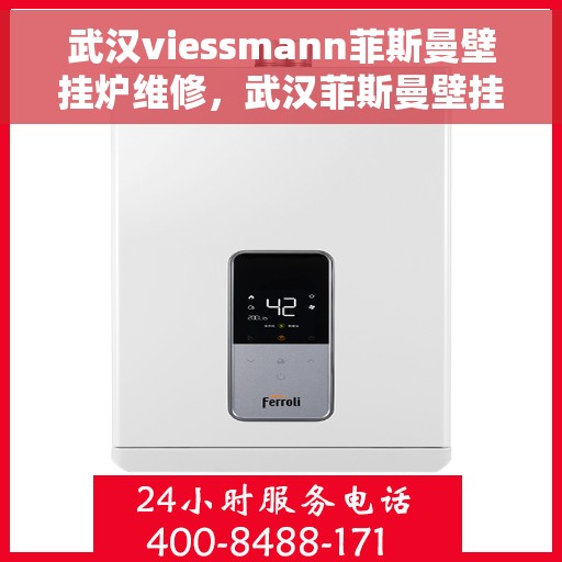 武汉viessmann菲斯曼壁挂炉维修，武汉菲斯曼壁挂炉维修，专业团队为您解决VIESSMANN设备故障问题