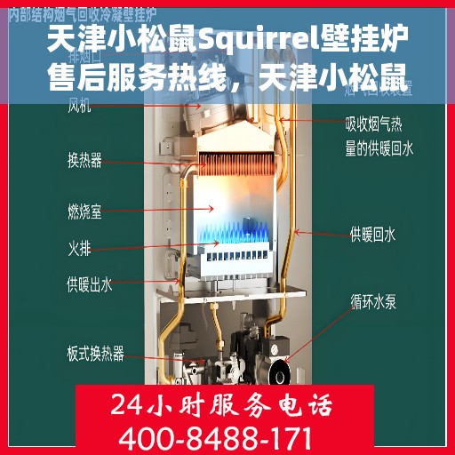 天津小松鼠Squirrel壁挂炉售后服务热线，天津小松鼠Squirrel壁挂炉售后服务热线，专业团队为您提供贴心服务