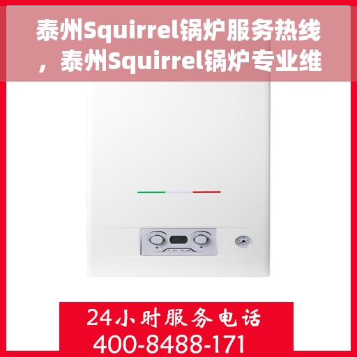 泰州Squirrel锅炉服务热线，泰州Squirrel锅炉专业维修服务热线