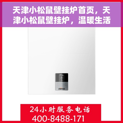 天津小松鼠壁挂炉首页，天津小松鼠壁挂炉，温暖生活的首选门户首页